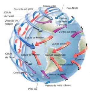 circulación