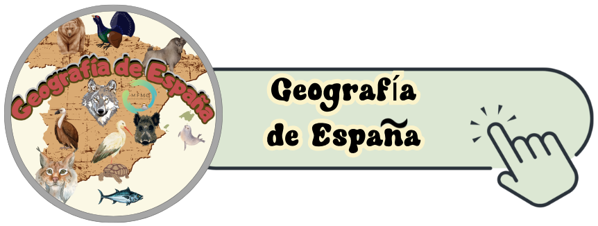 Captura_de_pantalla_2025-02-22_a_las_20.37.39.png
